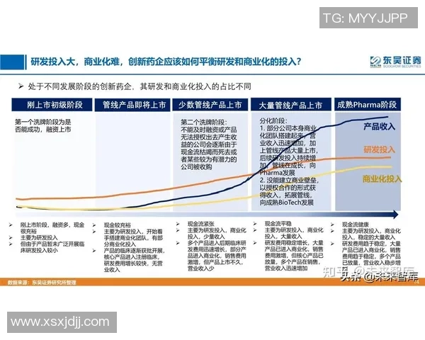 上海篮球队技术分析与战术创新的深度探讨与展望